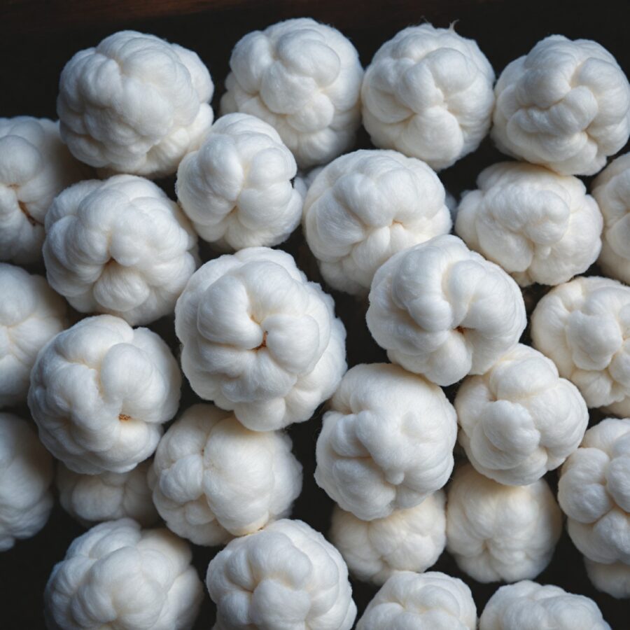 Diferentes Métodos de Processamento do Algodão: Da Colheita à Produção