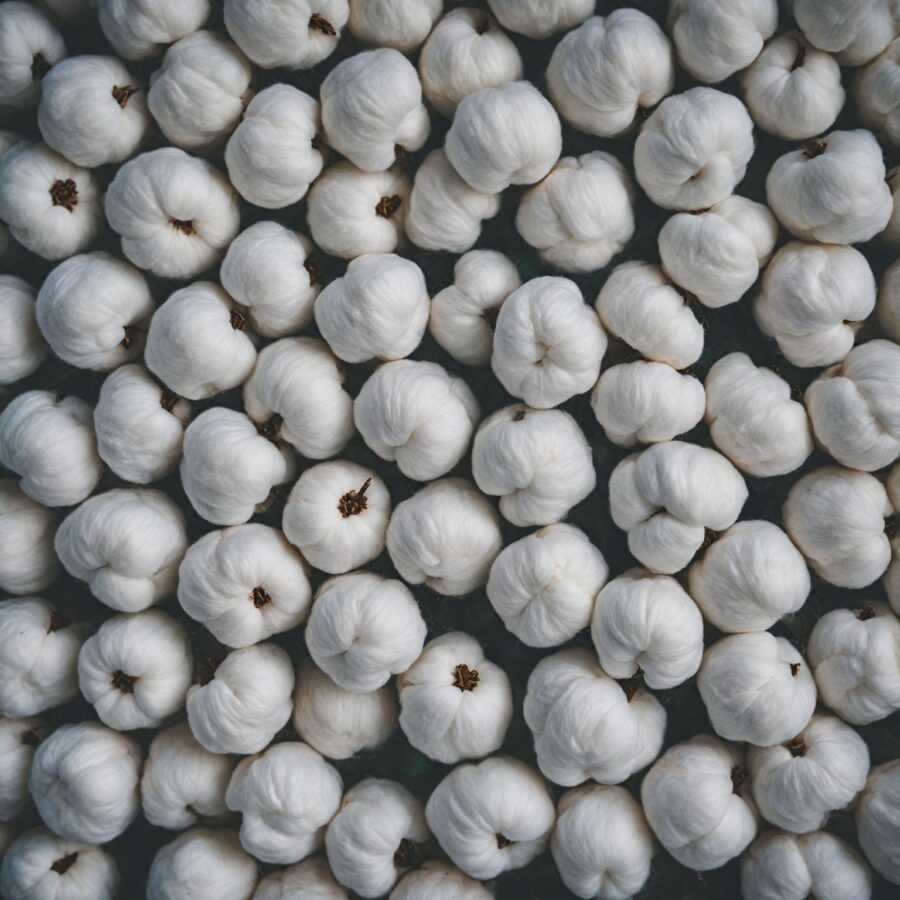 Como o Algodão é Usado na Produção de Papel: Um Guia Completo