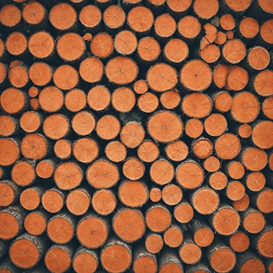 Como a Nova Zelândia regula a exploração de madeira de forma sustentável