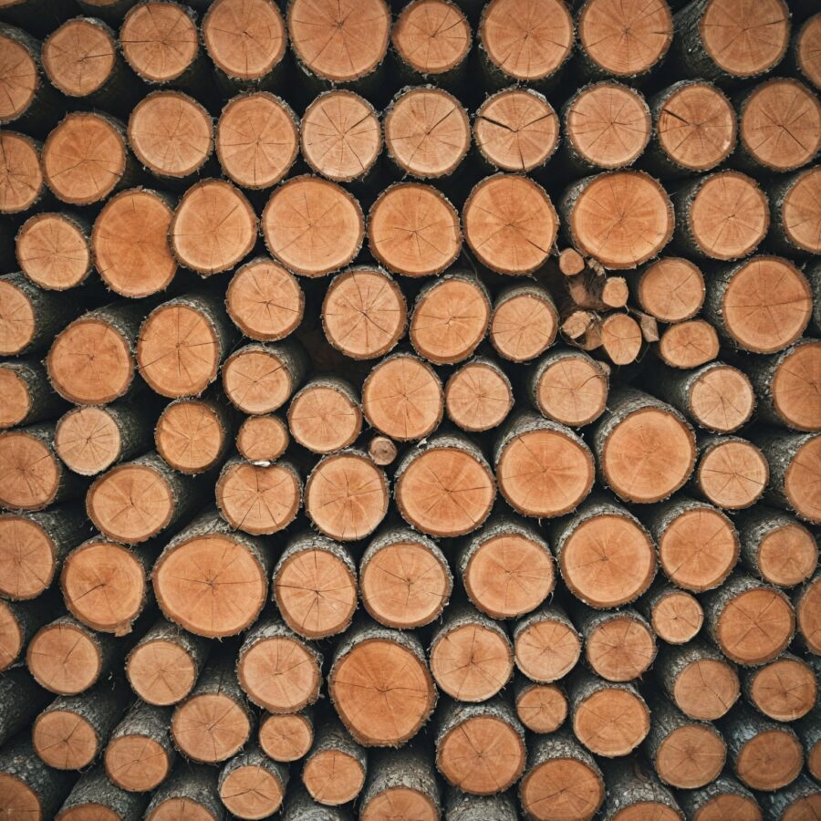 A exploração de madeira na Escócia: unindo tradição e inovação nas práticas sustentáveis