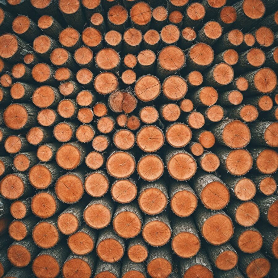 Exploração de Madeira Legal e Como o Turismo Cresce na Croácia