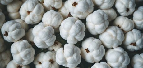 O Impacto Econômico Global do Algodão: Da Produção à Comercialização