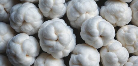 Diferentes Métodos de Processamento do Algodão: Da Colheita à Produção