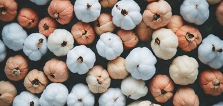 História do Algodão: Da Antiguidade aos Dias Modernos