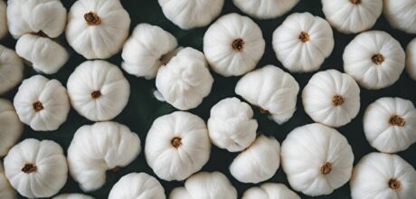 Certificações Importantes para Garantir a Sustentabilidade do Algodão