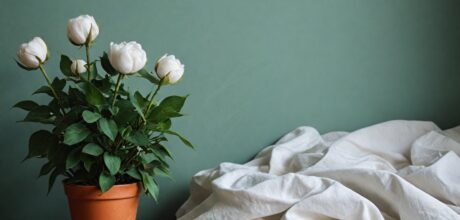 A Revolução do Algodão Orgânico na Indústria Têxtil: Benefícios e Desafios