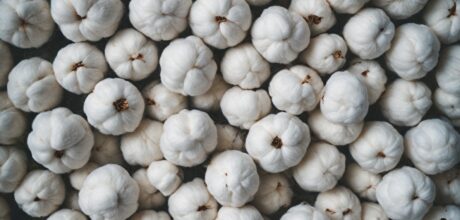 Como o Processo de Reciclagem de Algodão Traz Benefícios ao Meio Ambiente