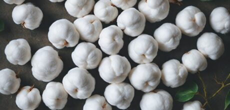 Algodão na Medicina: Usos e Benefícios para Saúde e Tratamentos