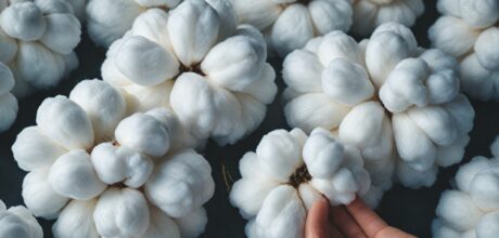 Aplicações e Vantagens do Algodão no Setor Automotivo