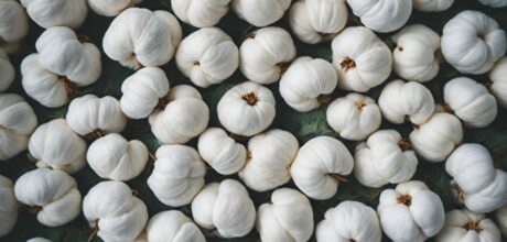 O Papel do Algodão em Festivais Culturais ao Redor do Mundo