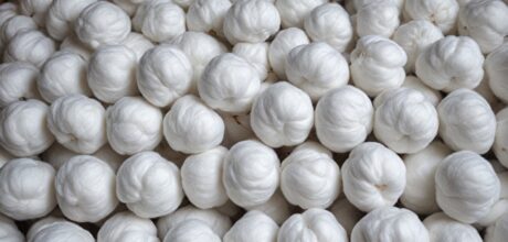 A cadeia de suprimentos do algodão: transparência e desafios no século XXI