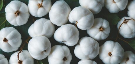 Os Benefícios do Algodão para a Pele Sensível