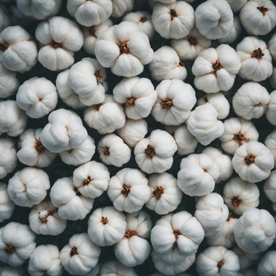 Os Benefícios do Algodão na Produção de Cosméticos e Produtos de Higiene