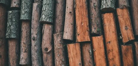 Sistemas de Certificação de Madeira Legal na Espanha: Um Guia Completo