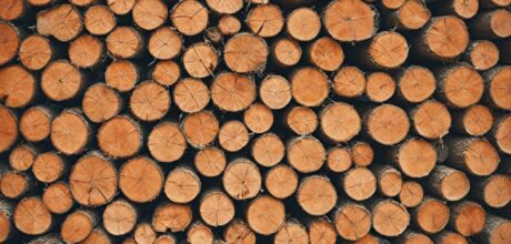 Práticas Exemplares de Exploração de Madeira na Geórgia: Metodologias Sustentáveis e Tecnologia