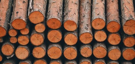 Principais Regiões de Exploração de Madeira Legal na Austrália: Um Guia Completo