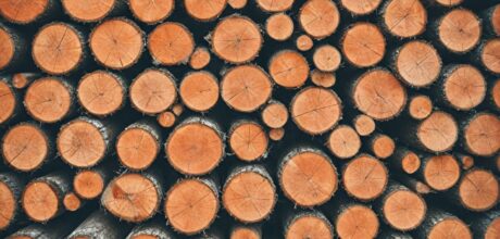 O Papel da Indústria de Madeira Legal na Economia da Eslovênia