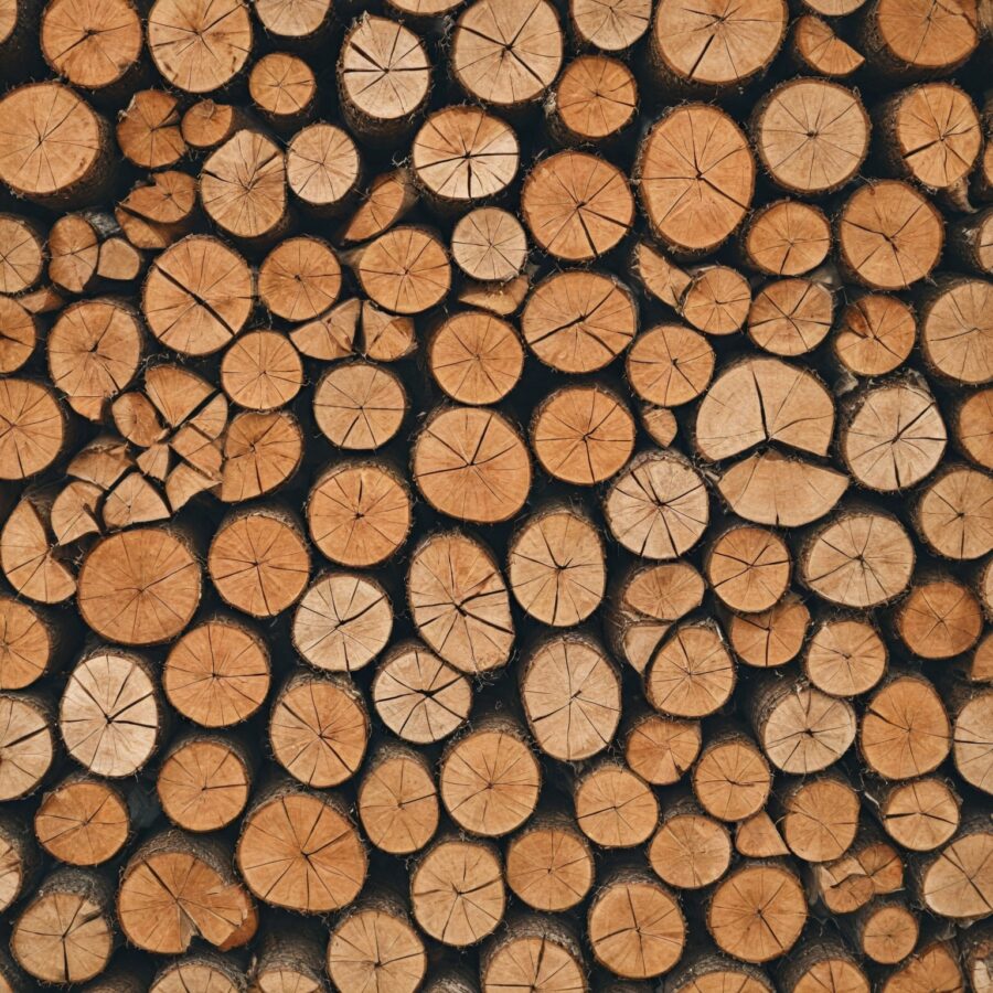 As melhores madeiras para esculpir detalhes finos em trabalhos artísticos