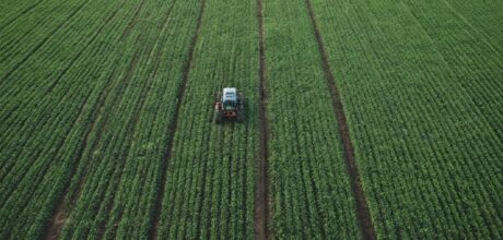 O impacto ambiental do cultivo de algodão e opções sustentáveis