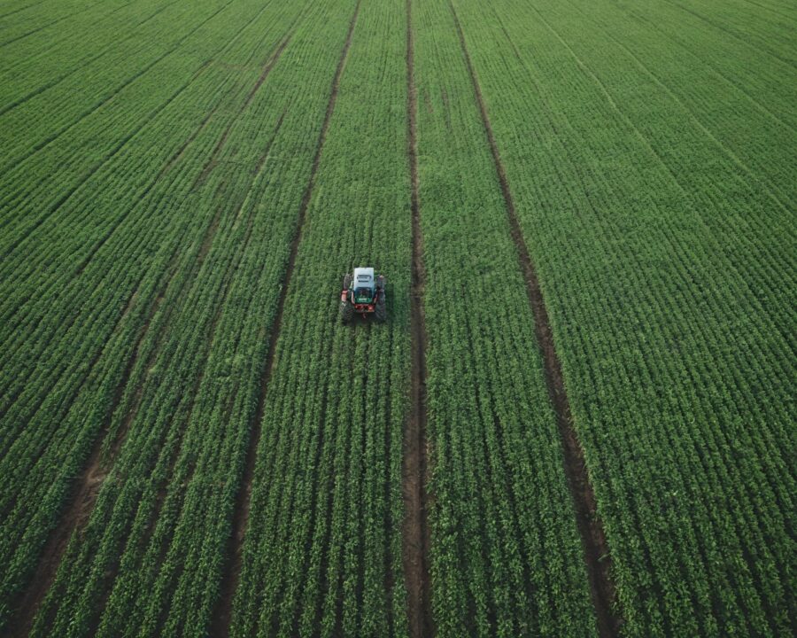 O impacto ambiental do cultivo de algodão e opções sustentáveis