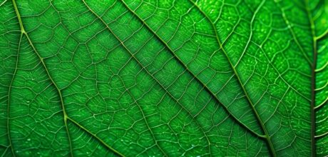 Propriedades do Ouro Verde: Liga Natural em Detalhes